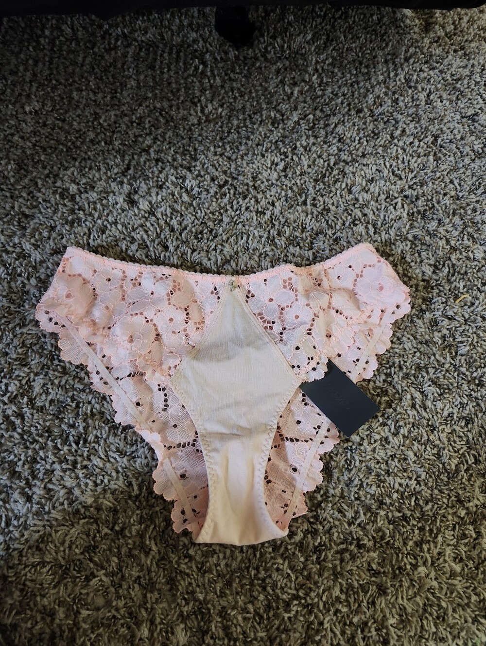 Savage X Fenty Soft Pink Lace Bikini Panty